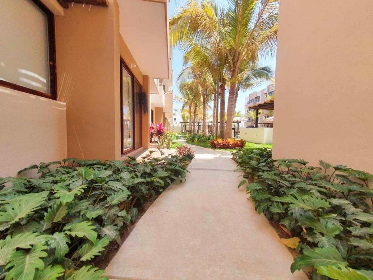 Ambar By Hausing - Pet Friendly Lejlighed Mazatlán Eksteriør billede